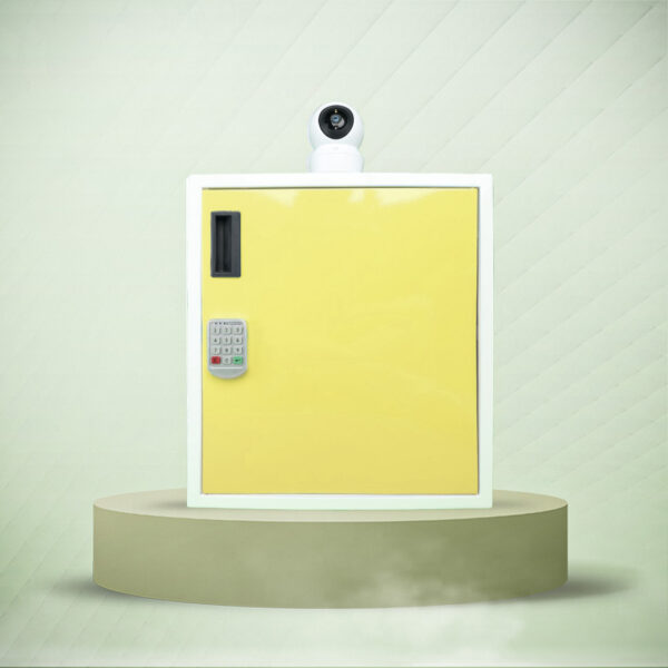Smart Delivery Locker with Keypad and 2-Way Talk Camera - Gatekeeper ...