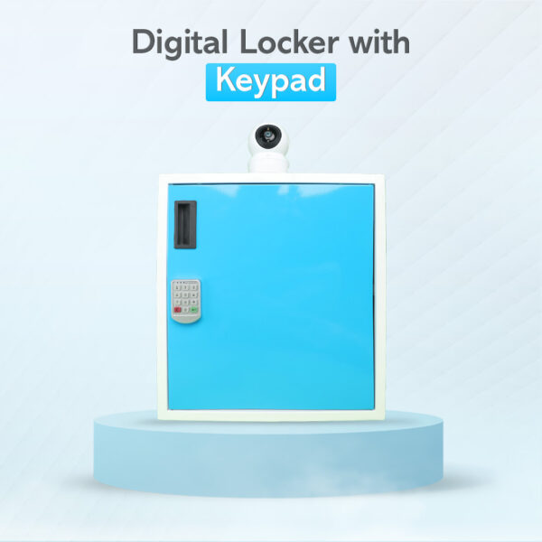 Smart Delivery Locker with Keypad and 2-Way Talk Camera