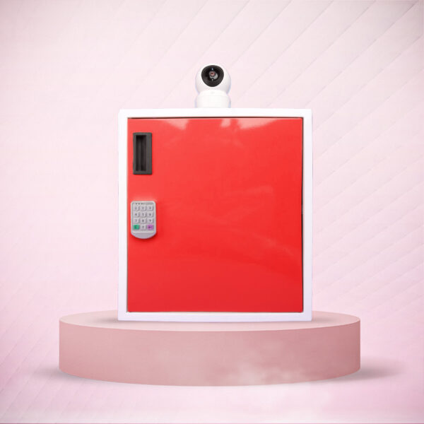 Smart Delivery Locker with Keypad and 2-Way Talk Camera - Gatekeeper ...