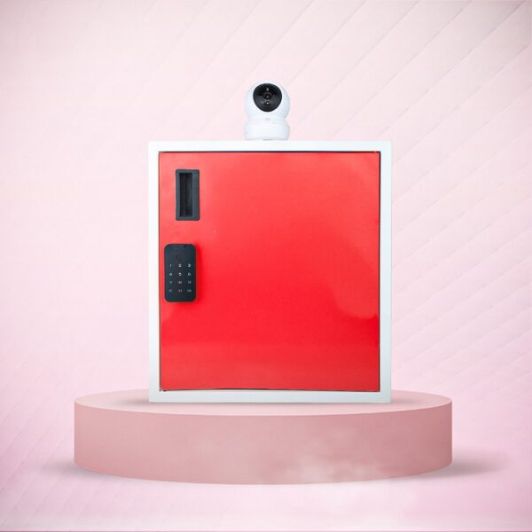 Smart Delivery Locker with Touch Screen and 2-Way Talk Camera ...