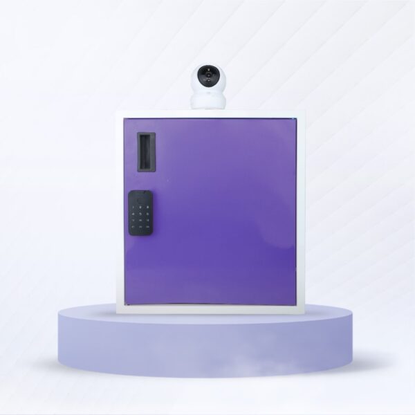 Smart Delivery Locker with Touch Screen and 2-Way Talk Camera ...