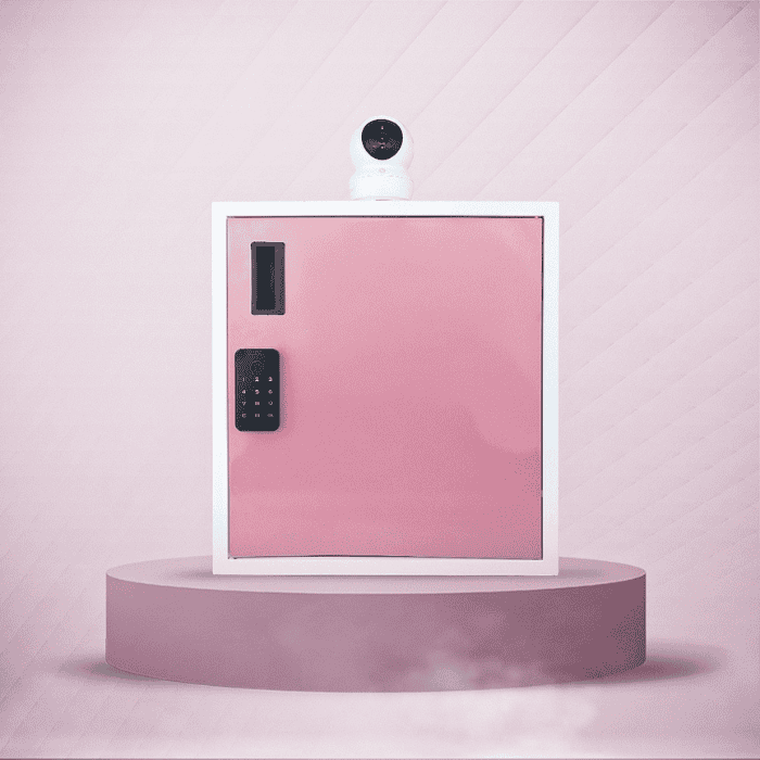 digital parcel lockers