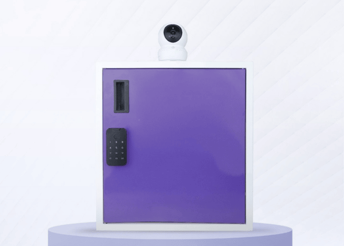 Smart Parcel Box with Camera | Parcel Box with Camera Price