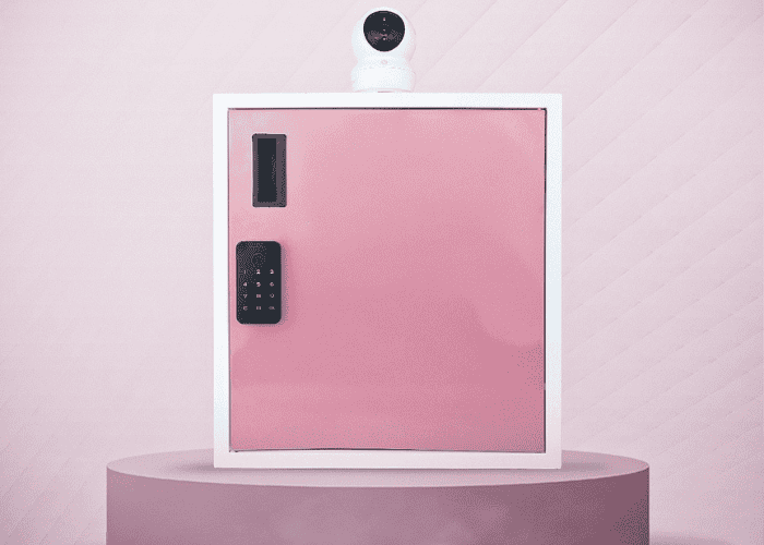 Storage Box Locker for Home | Buy Home Security Lockers Online